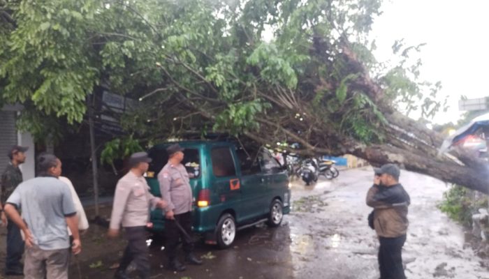 Pohon Tumbang di Cibatu Timpa Mobil Daihatsu Espas, Kanopi, dan Neon Box BNI