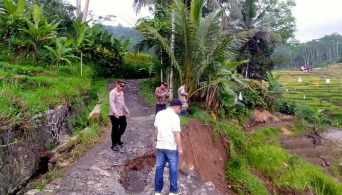 Jalan Desa Amblas dan Tanahnya Menimbun Pesawahan di Pakenjeng Garut, Roda Empat Tak Bisa Lewat