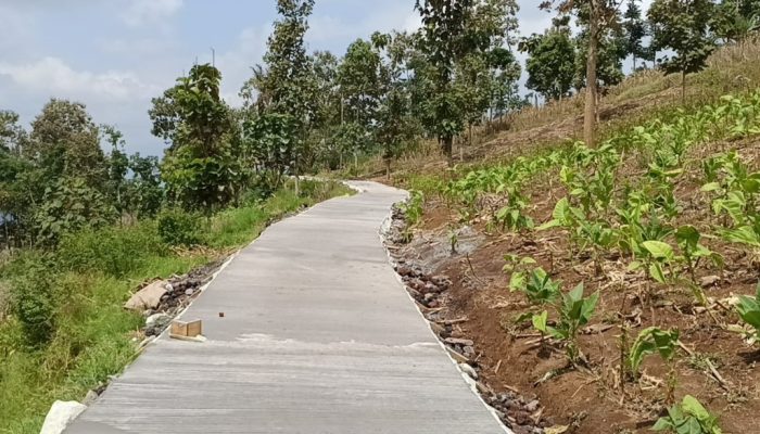 Di Limbangan Tengah Dibangun Jalan Usaha Tani, Kadistan Garut Berharap Selesai Tepat Waktu