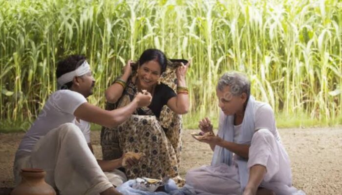 Kini Banyak Orangtua Melarang Anak-anaknya Jadi Petani Padi, Kok Bisa?