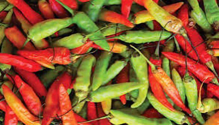 Harga Cabai Rawit Naik Rp5.270 Jadi Rp49.800 per Kg, Disusul Beras dan Bawang Merah