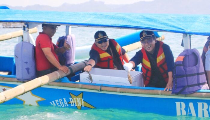 300 Ekor Lobster Hasil Budidaya dalam Ruangan Berhasil Dilepas DKP Jabar ke Laut