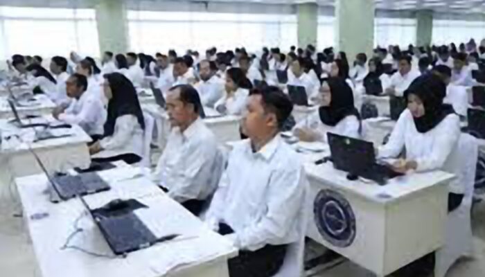 Seleksi PPPK 2024 Sudah Dibuka, Ini Tips dan Trik untuk Melewati Lika-likunya