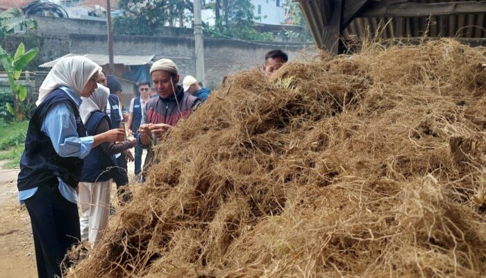 Putri Karlina Tertarik Maksimalkan Potensi Ekonomi Akar Wangi Garut dan Solusi Masalah Lahan juga Limbah