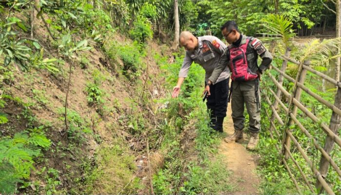Bayi Laki-laki Ditemukan Nyangkut pada Semak-semak Pinggir Selokan di Cibatu, Kondisinya Masih Hidup
