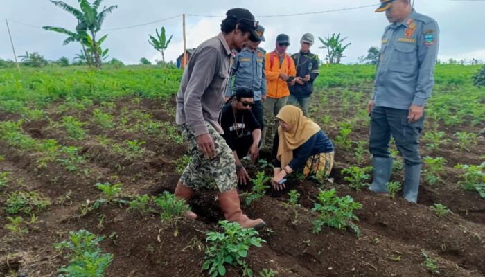 Peringati Hari Pohon Sedunia, Warga Kampung Jayasena Cikajang Tanam 1.000 Pohon