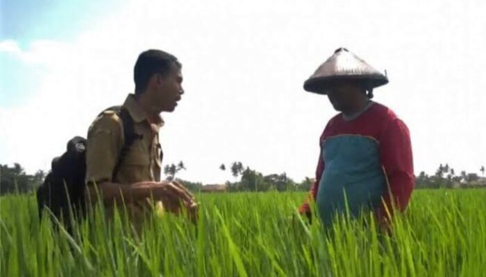 Ketua HKTI Jabar: Penyuluh Pertanian Bemakna Sangat Penting dalam Pencapaian Swasembada Beras