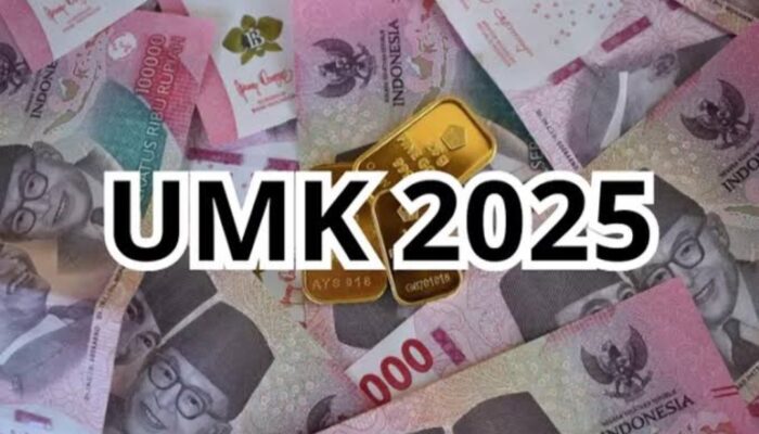 Penjabat Gubernur Jabar Bey Machmudin Tetapkan UMK 2025, Berikut Daftarnya
