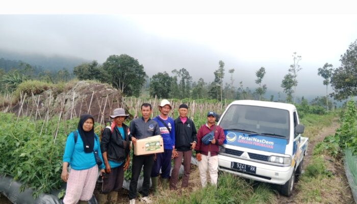 Petani Nasdem Garut Bagikan Pupuk Gratis kepada Petani Binaan di 42 Kecamatan