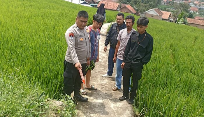 Tersambar Petir Saat Berada di Pinggir Sawah, Seorang Perempuan di Kadungora Meregang Nyawa