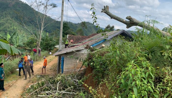 Rumah Warga di Talegong Rusak Tertimpa Pohon Kemiri yang Tumbang Diterjang Angin