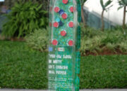 Grand Galaxy Park Ajak Pilah Tutup Botol Plastik untuk Selamatkan Bumi