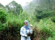 Wujud Nyata Komitmen Berkelanjutan, WSBP Kembali Tanam 318 Pohon Trembesi pada Bulan Mei 2025