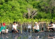 Carbon Offset Diuji Relevansinya, Ini Tanggapan Para Ahli