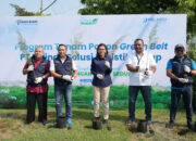 Peringati Hari Lingkungan Hidup 2025, Pelindo Solusi Logistik Perkuat Komitmen Hijau Lewat Program Tanam Pohon Green Belt