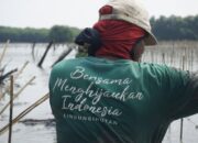 LindungiHutan Dorong Tebus Jejak Karbon dengan Penanaman Pohon