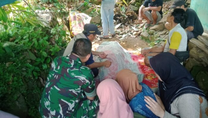 Seorang Petani di Cisewu Tewas Setelah Terjatuh dari Pohon Aren Setinggi 20 Meter