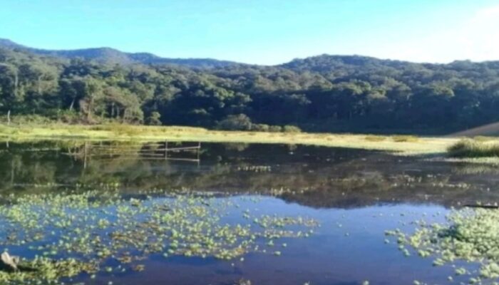 Pernah Dikunjungi Dedi Mulyadi, Situ Cirompang di Bungbulang Disebut sebagai Tempat Mandinya Prabu Siliwangi
