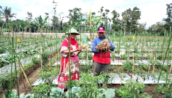 Petani Garut Tak Lagi Galau Pupuk: Cukup Pakai KTP, Harga Stabil, Distribusi Mudah