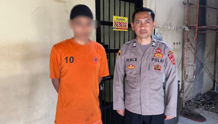 Warga Bungbulang Kaget Sekdes Mekarjaya Dibekuk Polisi karena Tanam Ratusan Ganja di Rumahnya