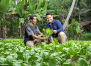 Local Heroes Jadi Ujung Tombak Peningkatan Ekonomi Daerah