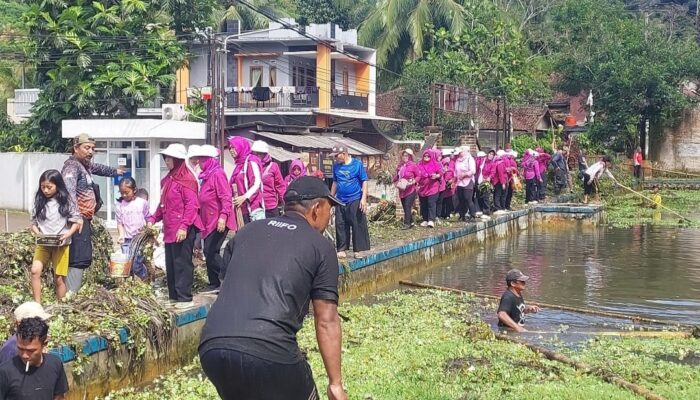 Rayakan Ulang Tahun ke-6, Emak-emak Rose Club Bersihkan Eceng Gondok di Balongsirah Cisewu