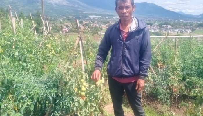 Cerita Ketua Petani Nasdem Garut Soal “Petani Buku” dan Perjudian Petani