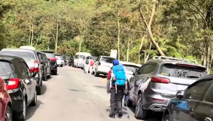 Ada Apa di TWA Papandayan pada Minggu Siang? Kunjungan Membludak hingga Parkir Meluber ke Jalan Raya