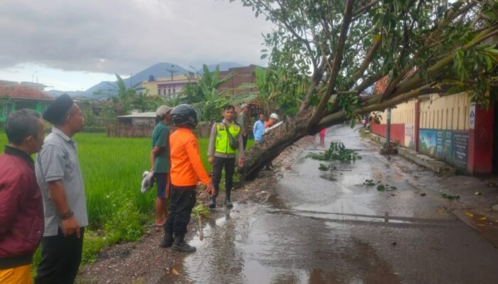 Diterjang Hujan dan Angin Kencang, Pohon Karet Roboh Tutup Jalan Desa di Kadungora Garut
