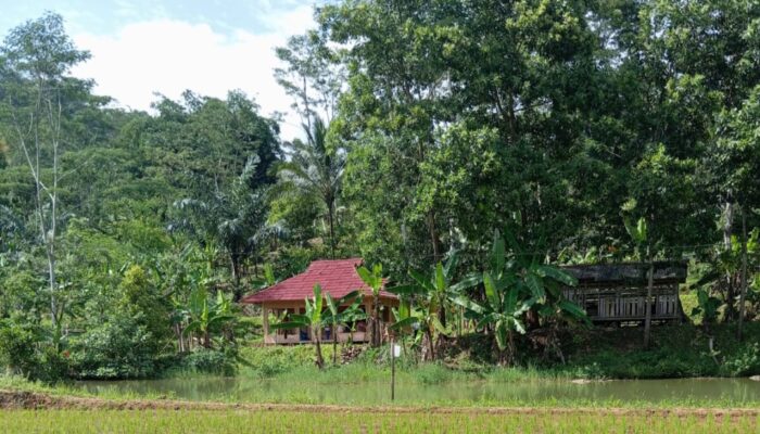 Kampung Perjuangan KPA di Garut Jadi Bukti Kedaulatan Tanah dan Pangan Berbasis Gotong Royong