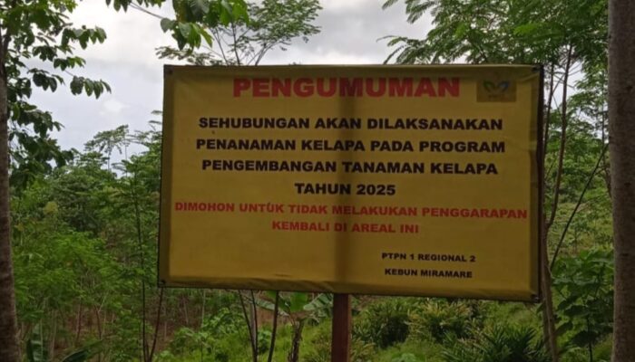 Warga Cibalong Garut Waswas Wacana Alih Komoditas PTPN, Minta Dialog Demi Cegah Konflik