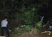 Longsor Tengah Malam Tutup Jalan Banjarwangi–Singajaya, Forkopimcam dan Warga Bergerak Cepat Buka Akses