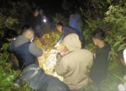 Kerangka Manusia Ditemukan di Hutan Banjarwangi, Polisi Selidiki Identitas dan Penyebab Kematian