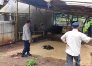 Aduan Masuk via Taros Kapolres, Polisi dan Warga Bongkar Lapak Sabung Ayam di Selaawi Garut