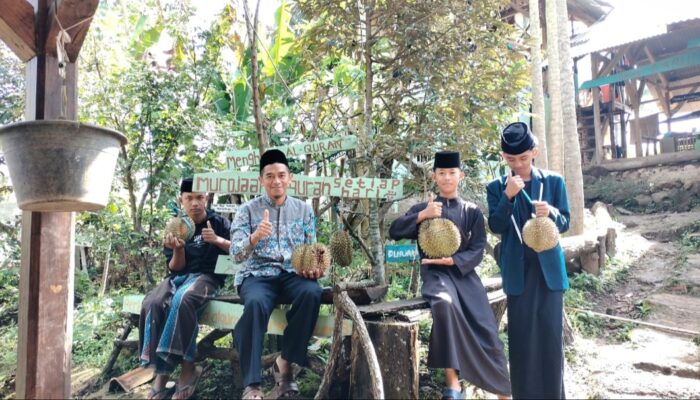 Pesantren Tahfidz di Garut Bangun Kemandirian Lewat Kebun Durian hingga Olahan Singkong