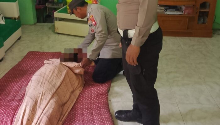 Peringatan Diabaikan, Pria di Garut Tewas Tersengat Listrik saat Tebang Pohon