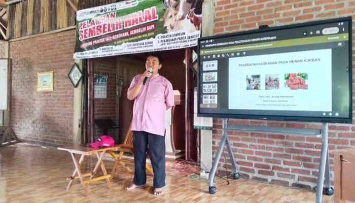 Jelang Idul Adha, Disnakkan Garut Intensifkan Pemeriksaan Hewan Kurban demi Keamanan Daging
