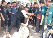 Jelang Idul Adha, Ratusan Juru Sembelih Halal Ikuti Pelatihan di Garut, Bahas Kurban hingga Kesehatan Hewan