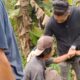Kakek di Cisewu Garut Diduga Cabuli Cucu Kandung, Polisi Gerak Cepat Redam Amarah Warga