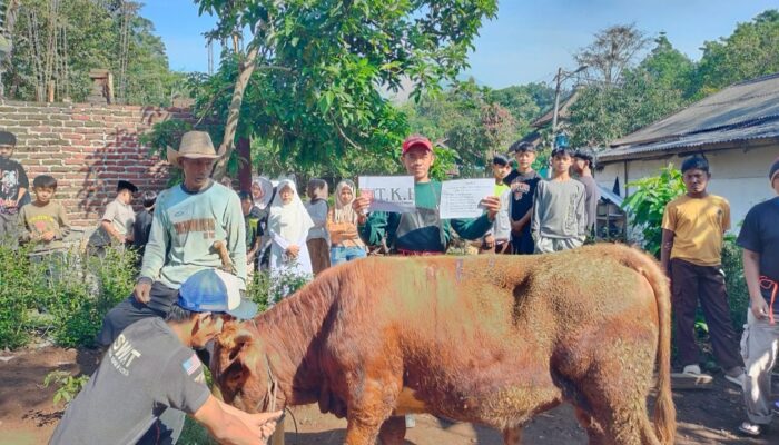 Delapan Tahun Dipercaya Kelola Kurban dari Singapura, Pesantren Al Yumna Garut Tebar Kebahagiaan untuk Warga
