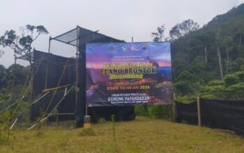 Setelah Bertahun-tahun Direhabilitasi, Dua Elang Brontok Akhirnya Kembali Mengudara di Hutan Garut
