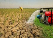 Garut Antisipasi Dampak Kemarau, 90 Pompa Air Disiagakan untuk Selamatkan Lahan Pertanian
