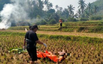 Pria Tanpa Identitas Ditemukan Meninggal di Persawahan Garut, Polisi Telusuri Keberadaan Keluarga Korban