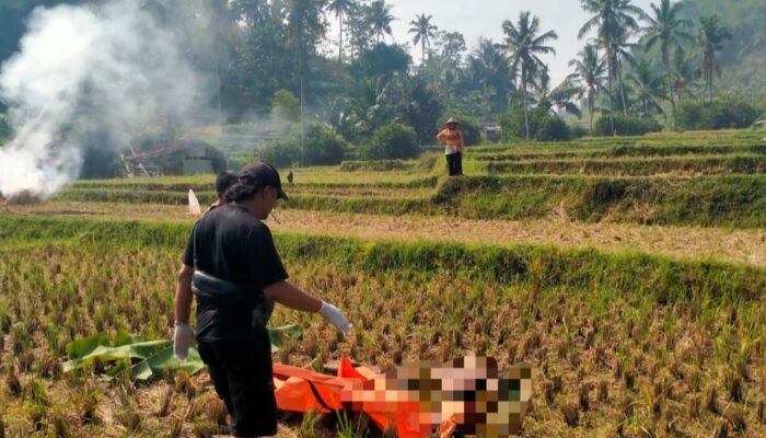 Pria Tanpa Identitas Ditemukan Meninggal di Persawahan Garut, Polisi Telusuri Keberadaan Keluarga Korban