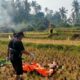 Pria Tanpa Identitas Ditemukan Meninggal di Persawahan Garut, Polisi Telusuri Keberadaan Keluarga Korban