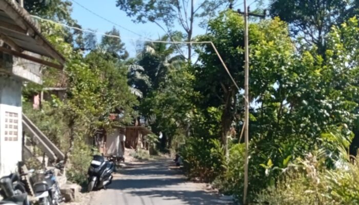Tiga Ruas Jalan Desa di Cisewu Masuk Daftar Perbaikan Pemprov Jabar 2027, Tim PUPR Garut Sudah Lakukan Survei