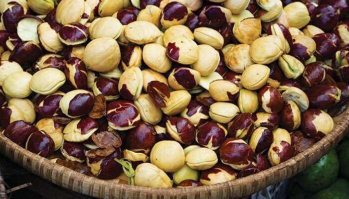 Harga Jengkol di Garut Sempat Tembus Rp80.000 per Kg, Pedagang Keluhkan Sepi Pembeli Meski Kini Mulai Turun