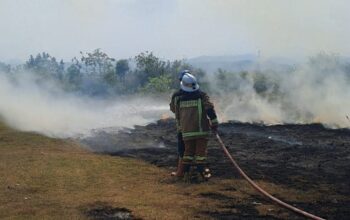 Kebakaran di Garut Capai 165 Kasus hingga Juli 2026, Kerugian Tembus Rp12,1 Miliar