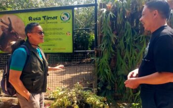 Taman Satwa Cikembulan Garut Perkuat Peran Konservasi, PKBSI Datang Bawa Evaluasi dan Peluang Pengembangan