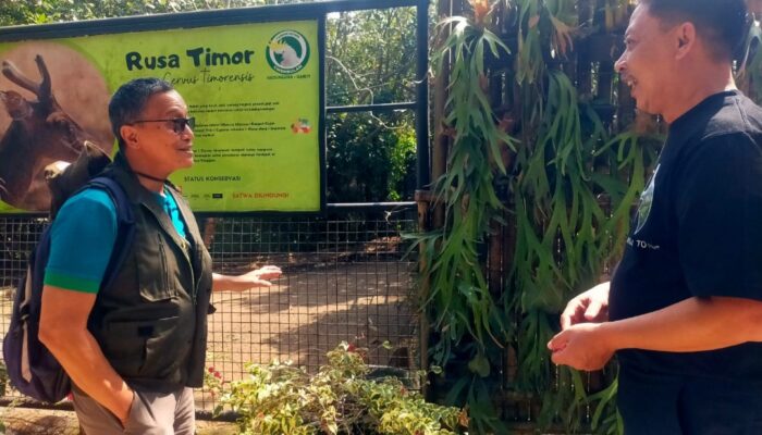 Taman Satwa Cikembulan Garut Perkuat Peran Konservasi, PKBSI Datang Bawa Evaluasi dan Peluang Pengembangan